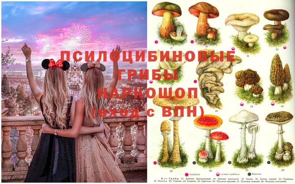 дурь Магадан