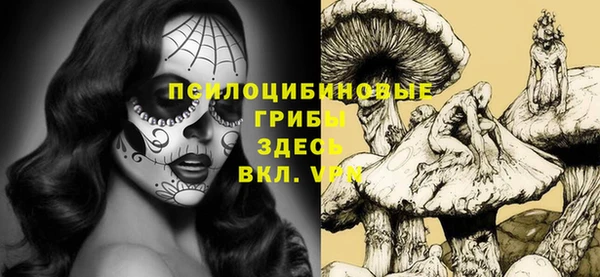 а пвп мука Магас