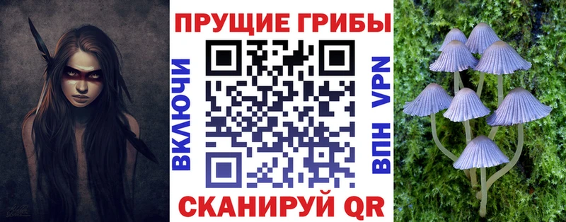 Галлюциногенные грибы прущие грибы  Правдинск 